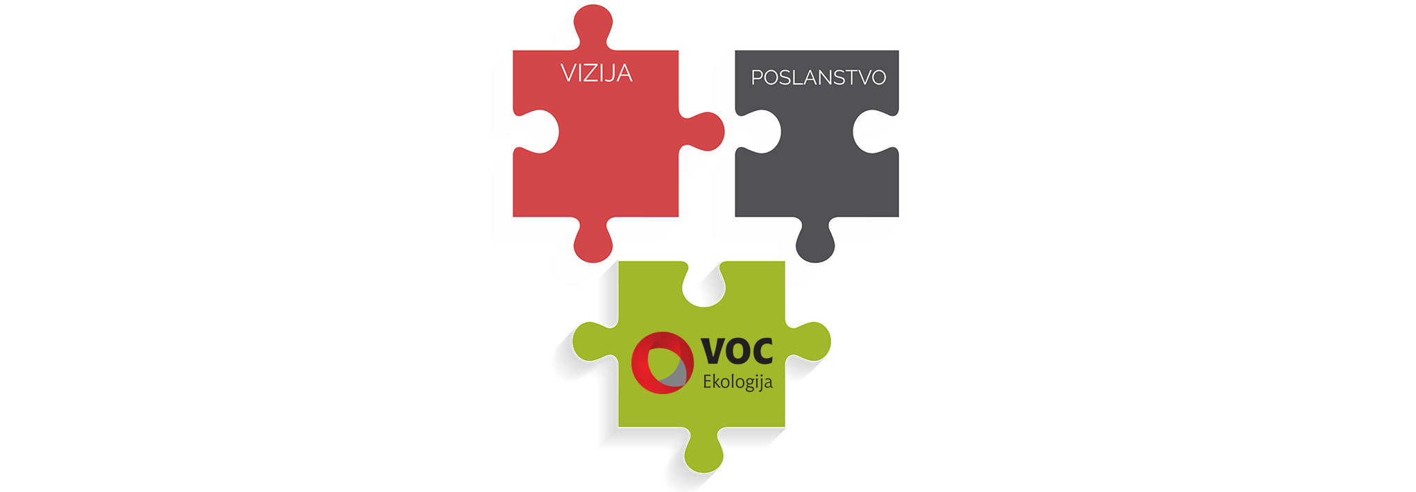 vizija